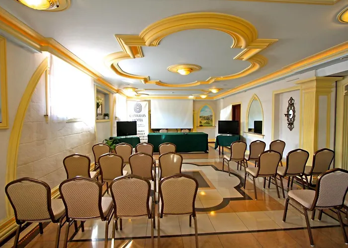 Hotel Cumulus Bedzin